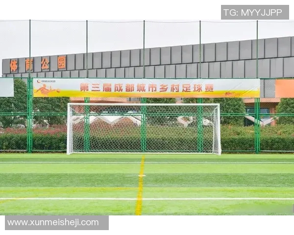 成都足球队近期表现分析与未来发展展望探讨