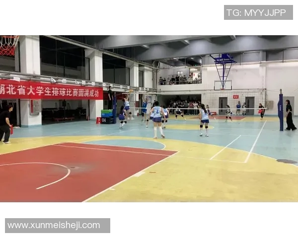 武汉排球队个人能力提升引发热议展望未来发展新方向